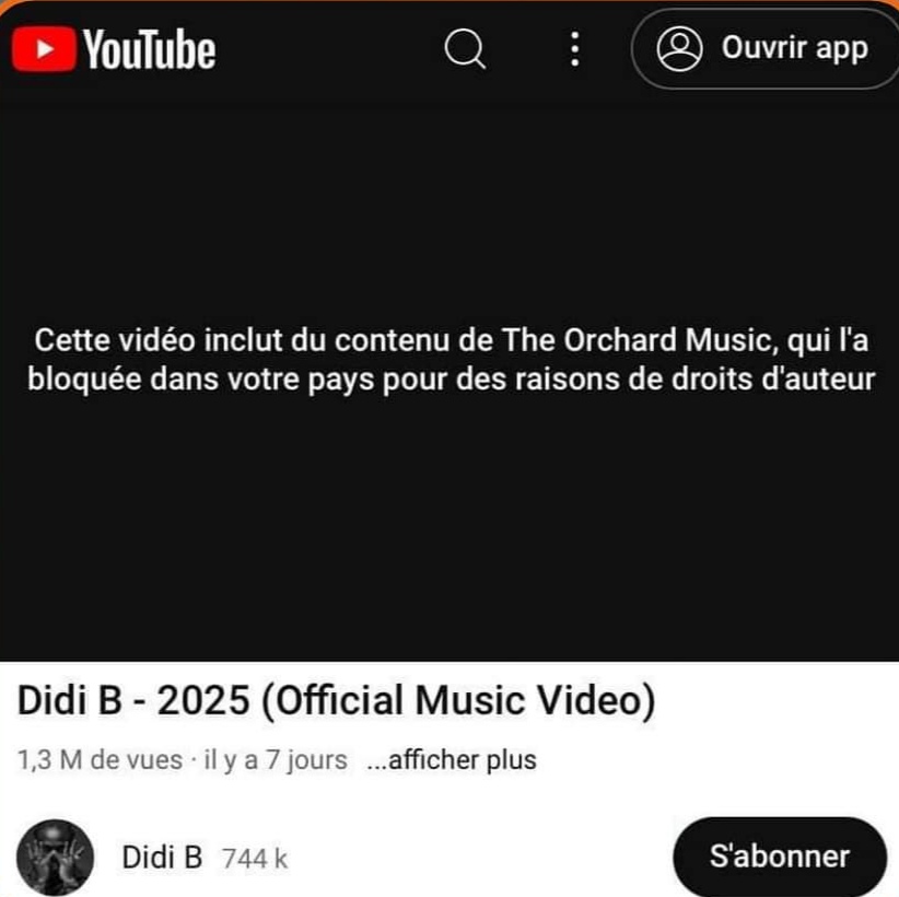 Capture d'écran du message qui prouve que la vidéo de Didi B est bloquée sur Youtube 