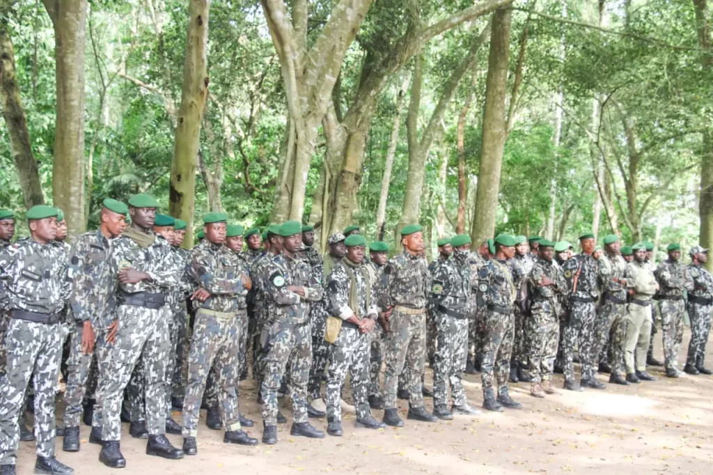 Eaux et forêts de Côte d'Ivoire