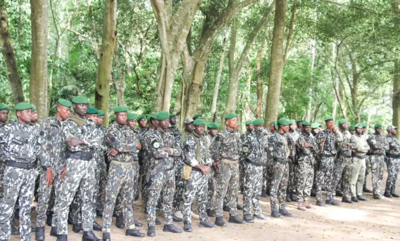 Eaux et forêts de Côte d'Ivoire